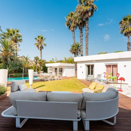 Summer Wind - Palm Agathois