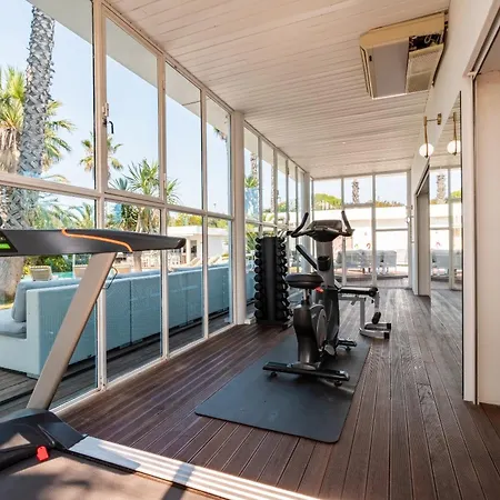 Summer Wind - Palm Agathois *