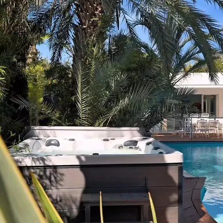 Summer Wind - Palm Agathois *