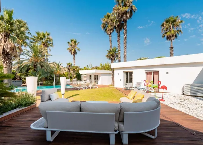 Summer Wind - Palm Agathois