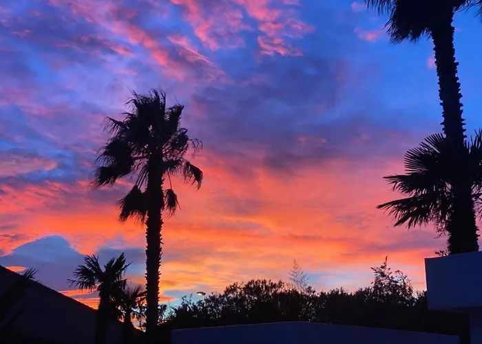 Summer Wind - Palm Agathois *