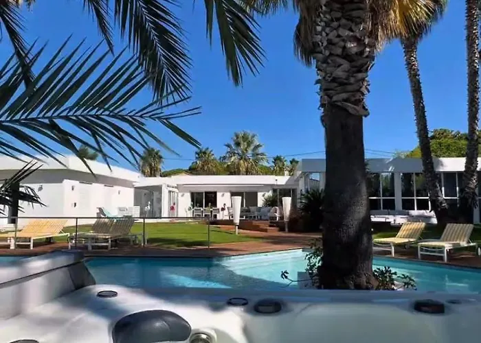 Summer Wind - Palm Agathois *